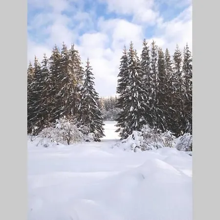 De La Montagne D'ance *
