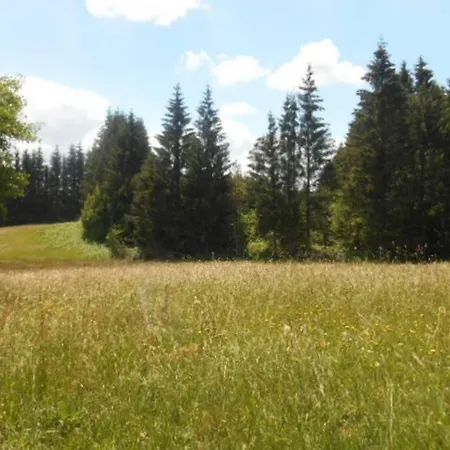 Holiday home De La Montagne D'ance Chastreix